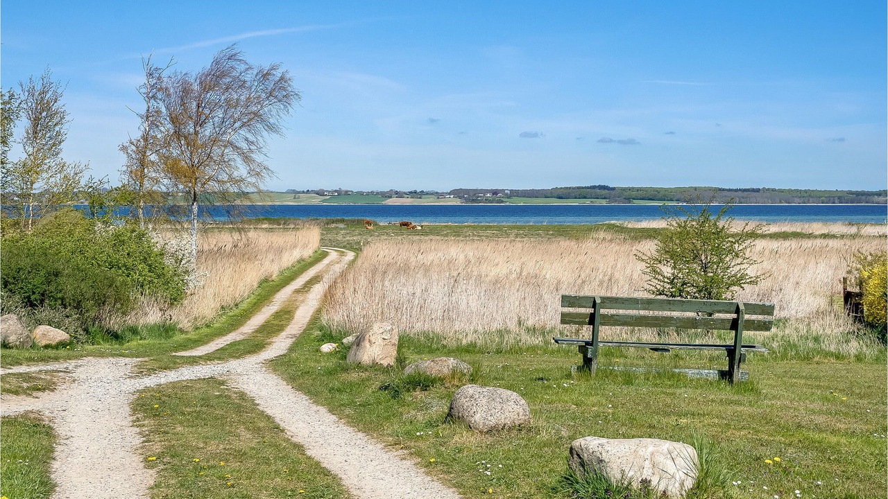 Photo of Others in Holbaek