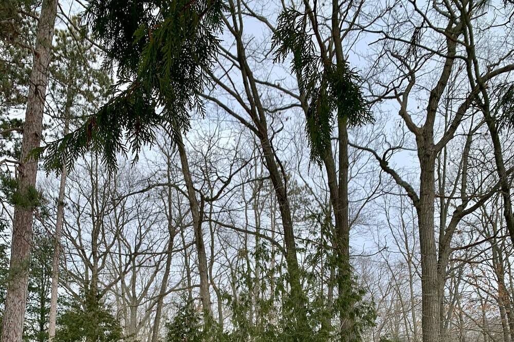 Photo of Others in Lambton Shores