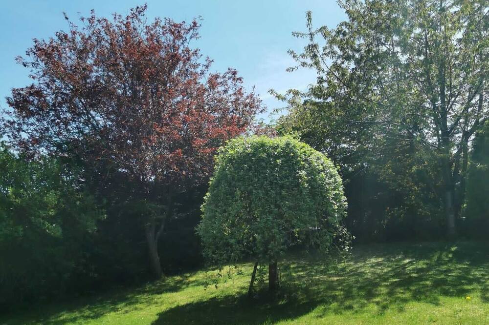 Photo of Outdoor in Kilham