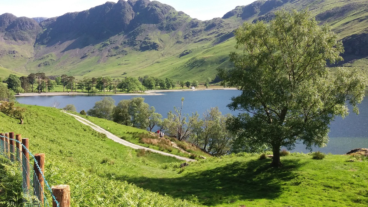 Photo of Others in Windermere