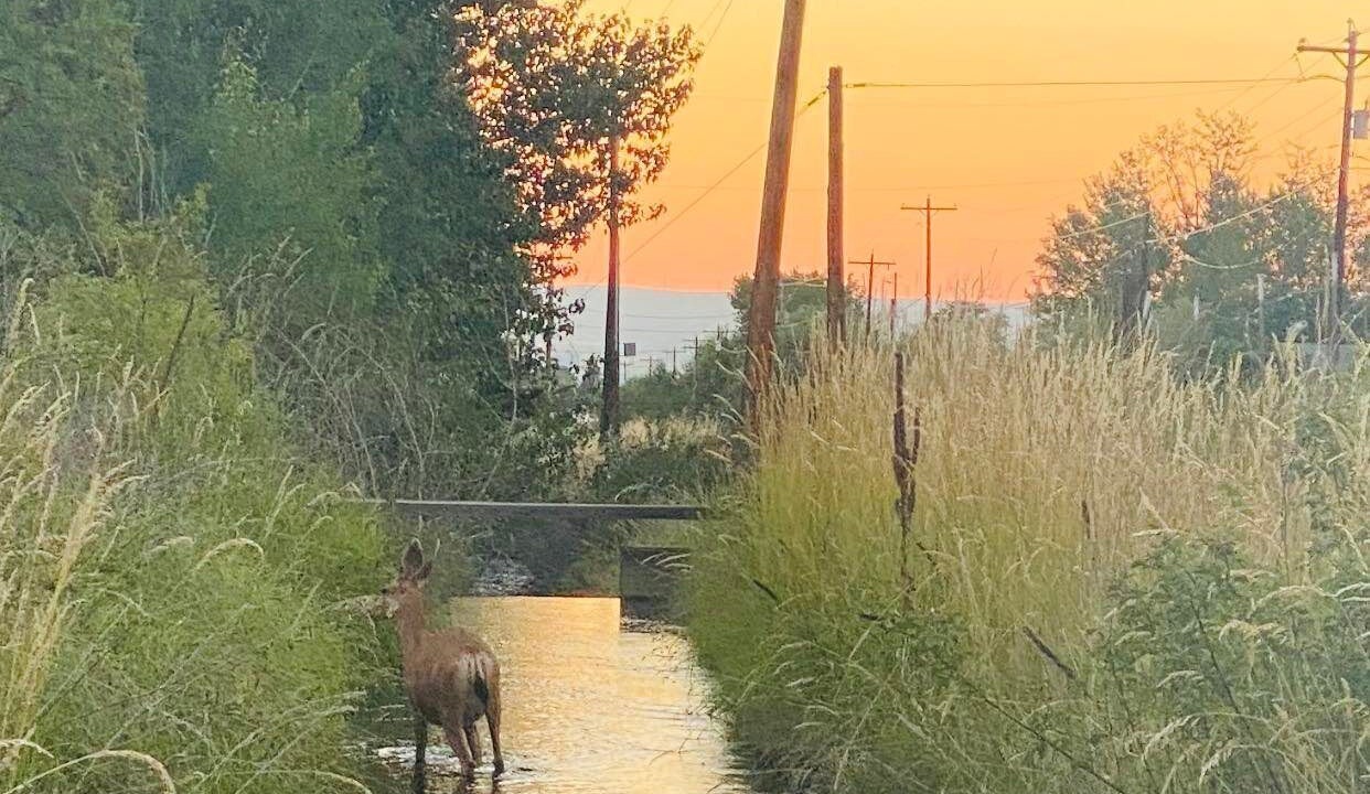 Photo of Outdoor in Ellensburg