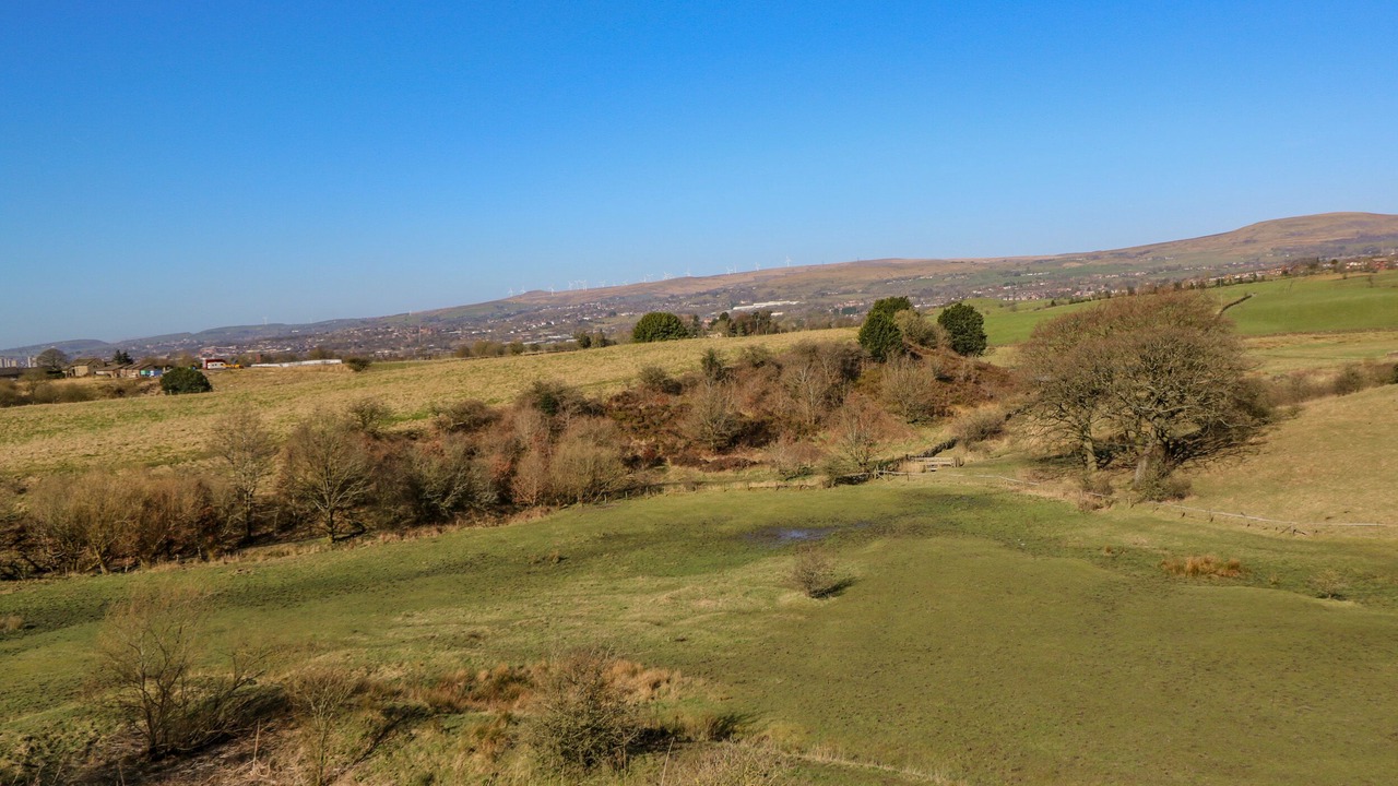 Photo of Others in Rochdale