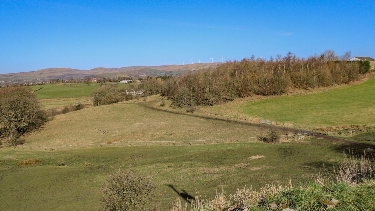 Photo of Others in Rochdale