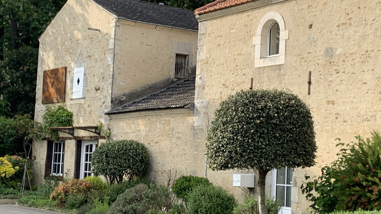 Photo of Outdoor in Saint-Cyr-en-Talmondais
