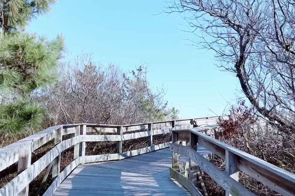 Photo of Others in Lido Beach