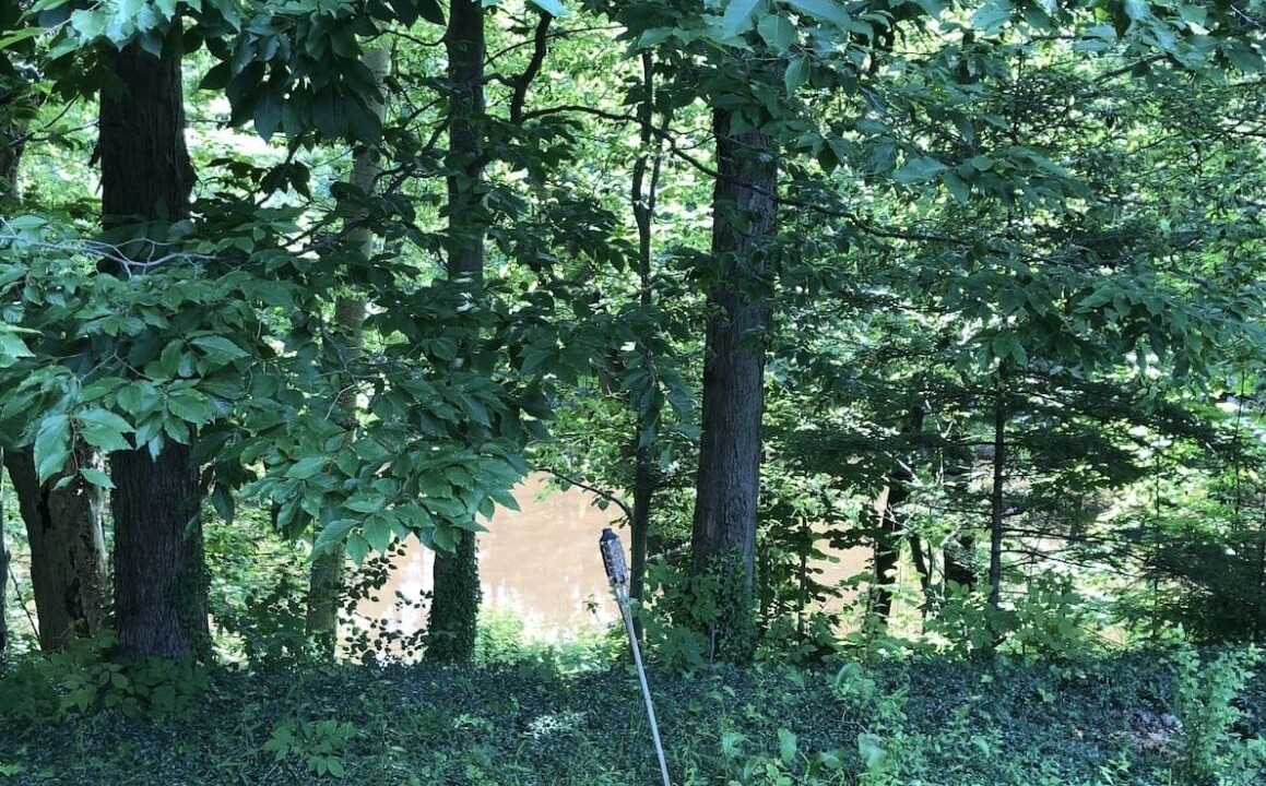 Photo of Outdoor in Austinburg