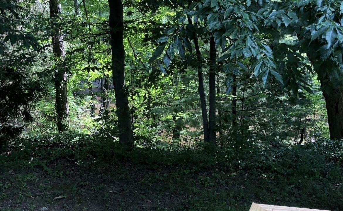 Photo of Outdoor in Austinburg