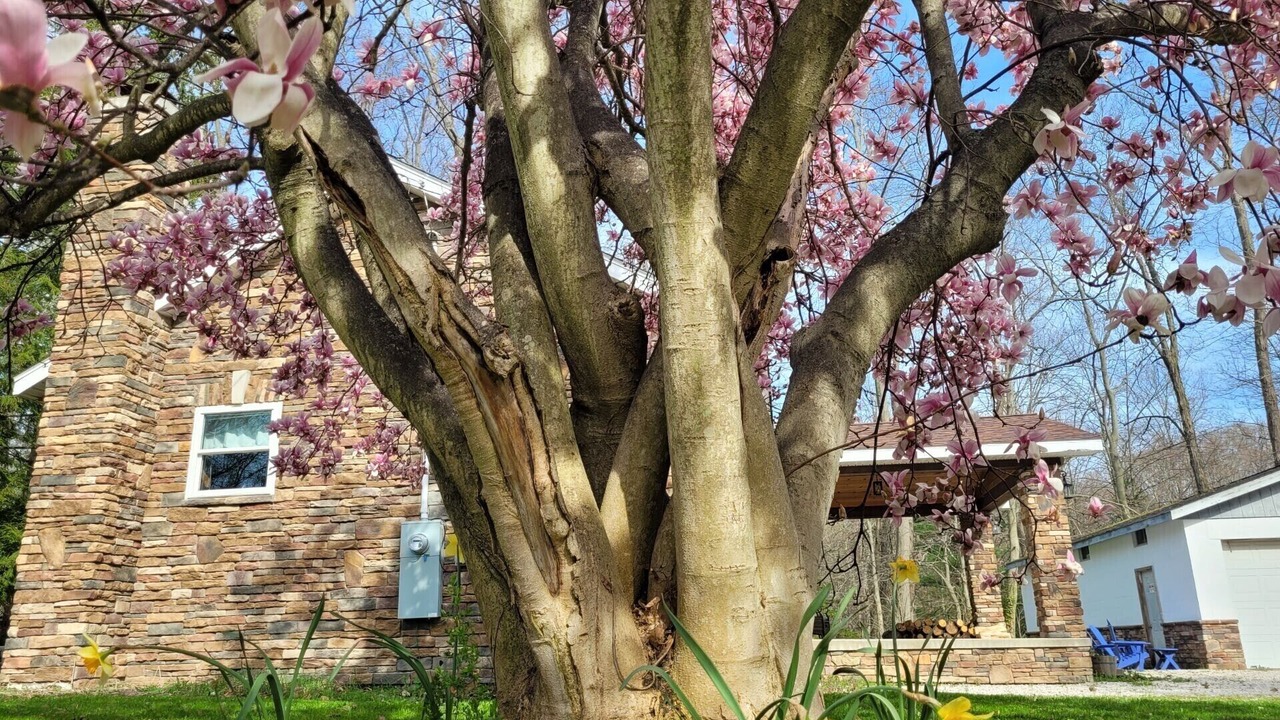 Photo of Outdoor in Austinburg