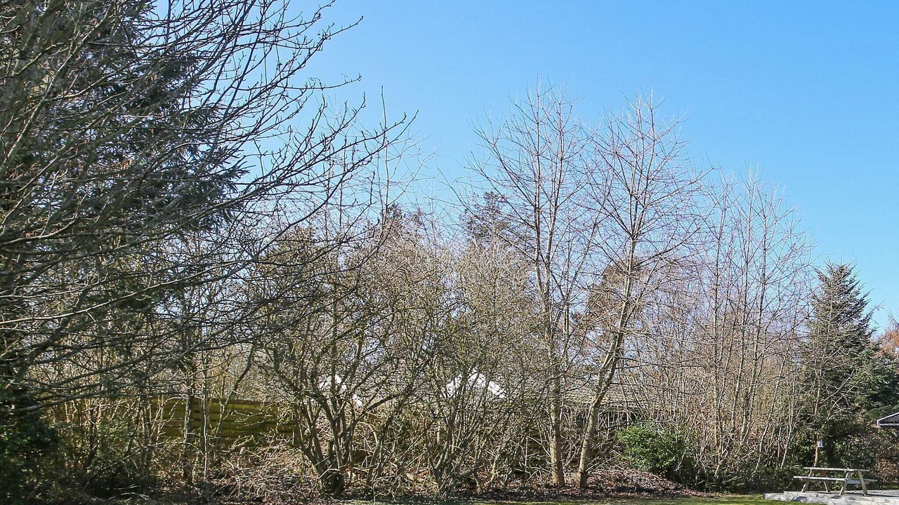 Photo of Outdoor in Udsholt