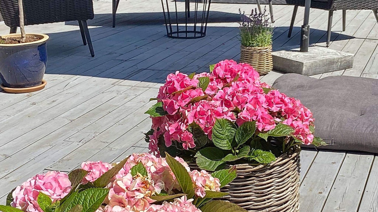 Photo of Patio Balcony in Udsholt