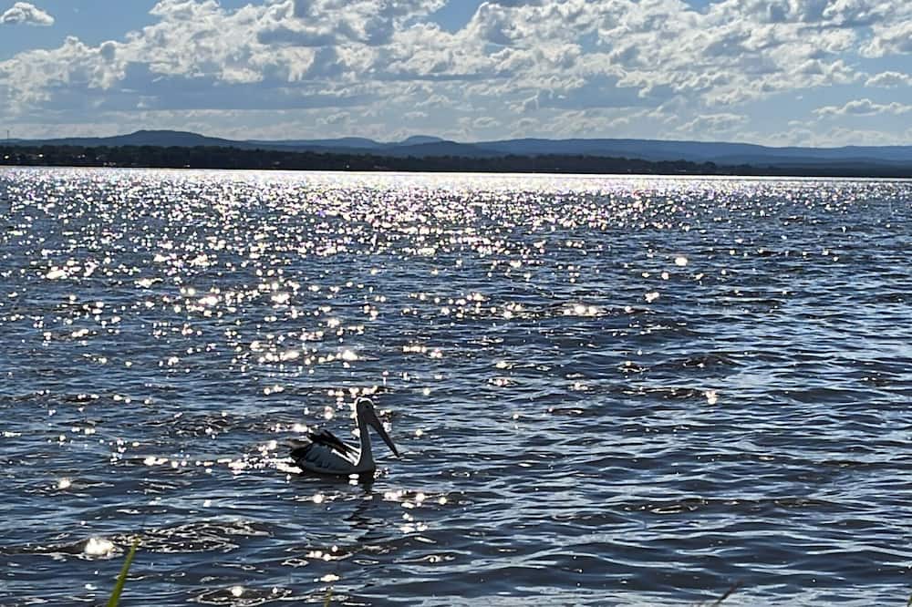 Photo of Others in Noraville