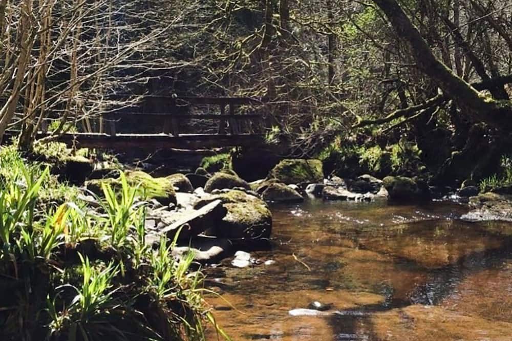 Photo of Outdoor in Straiton