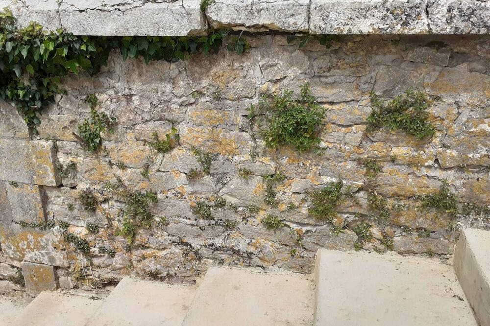 Photo of Outdoor in Loubejac