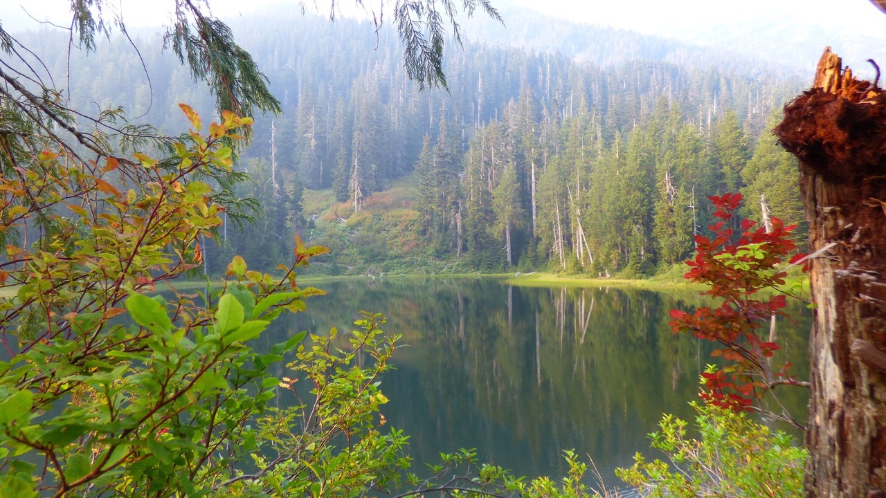 Photo of Outdoor in Index