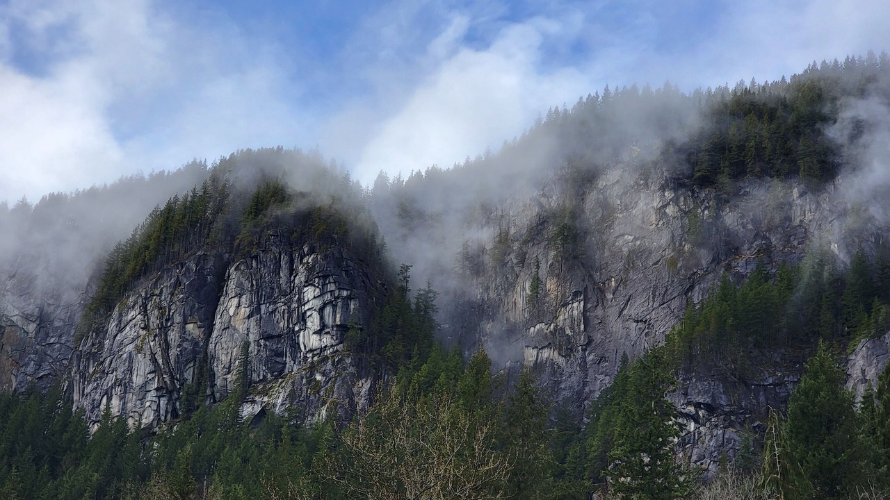 Photo of Others in Index