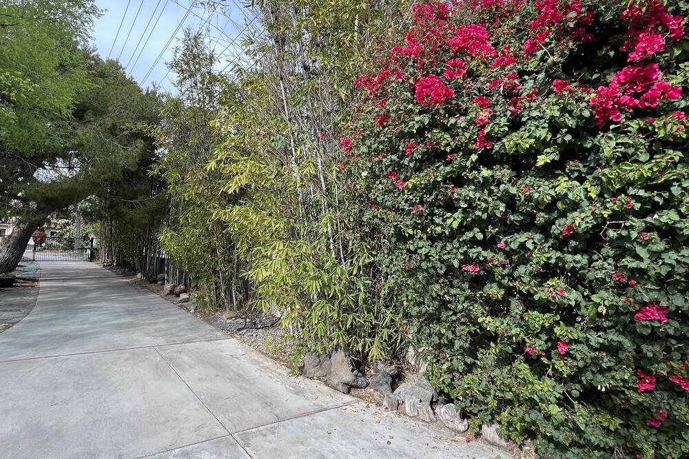 Photo of Outdoor in Verdugo Woodlands