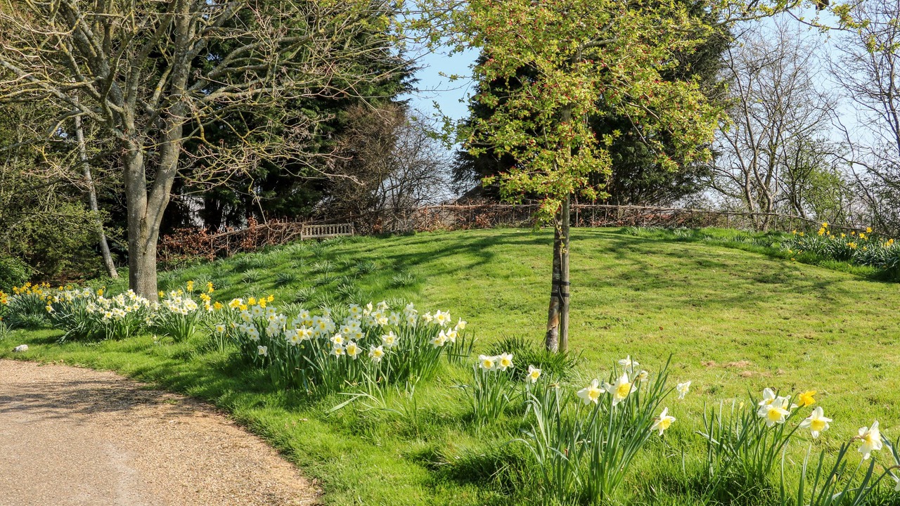 Photo of Others in Pulborough