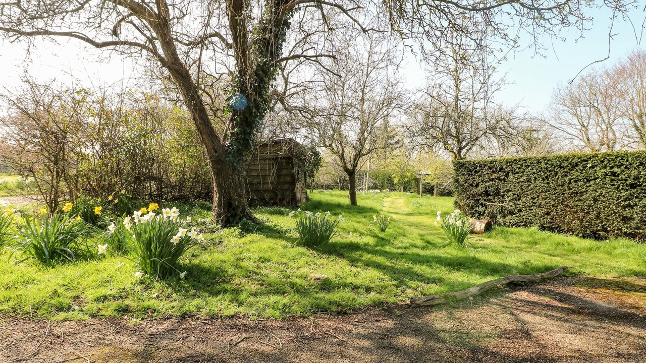 Photo of Others in Pulborough