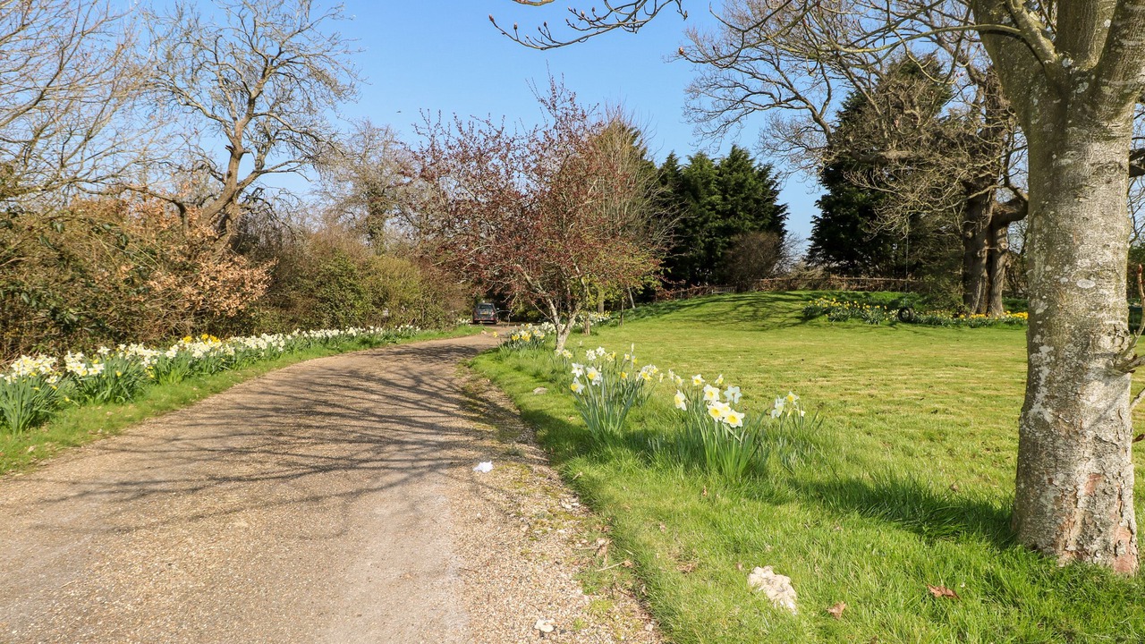 Photo of Others in Pulborough