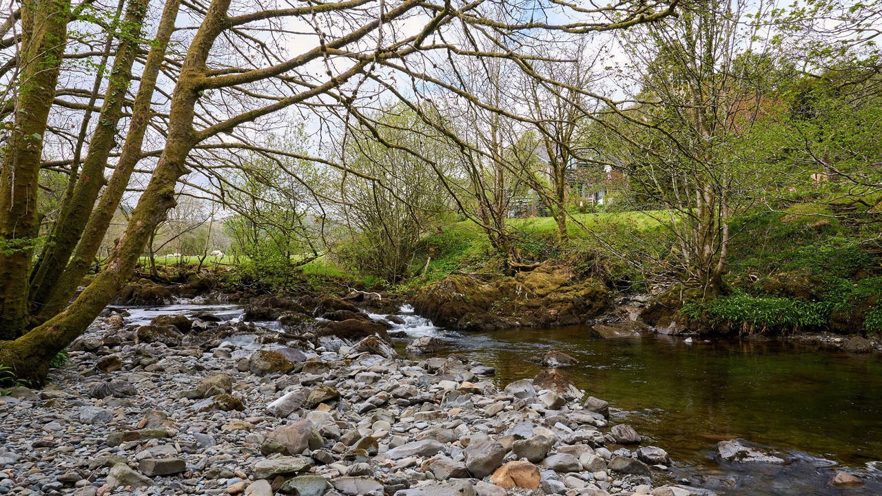 Photo of Others in Kendal