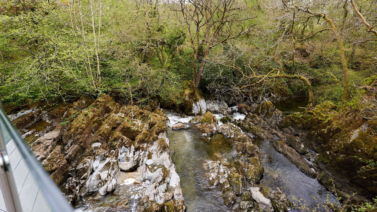 Photo of Others in Kendal