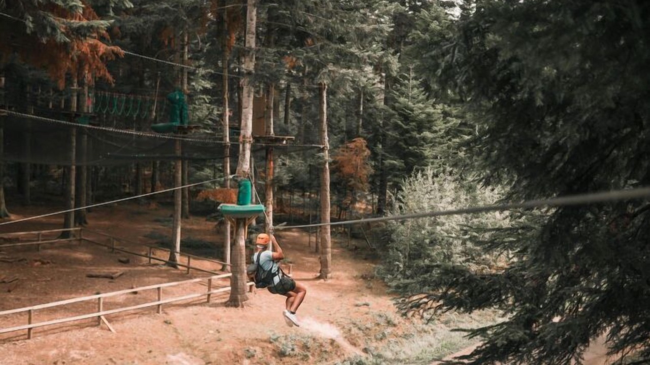 Photo of Others in Hattigny