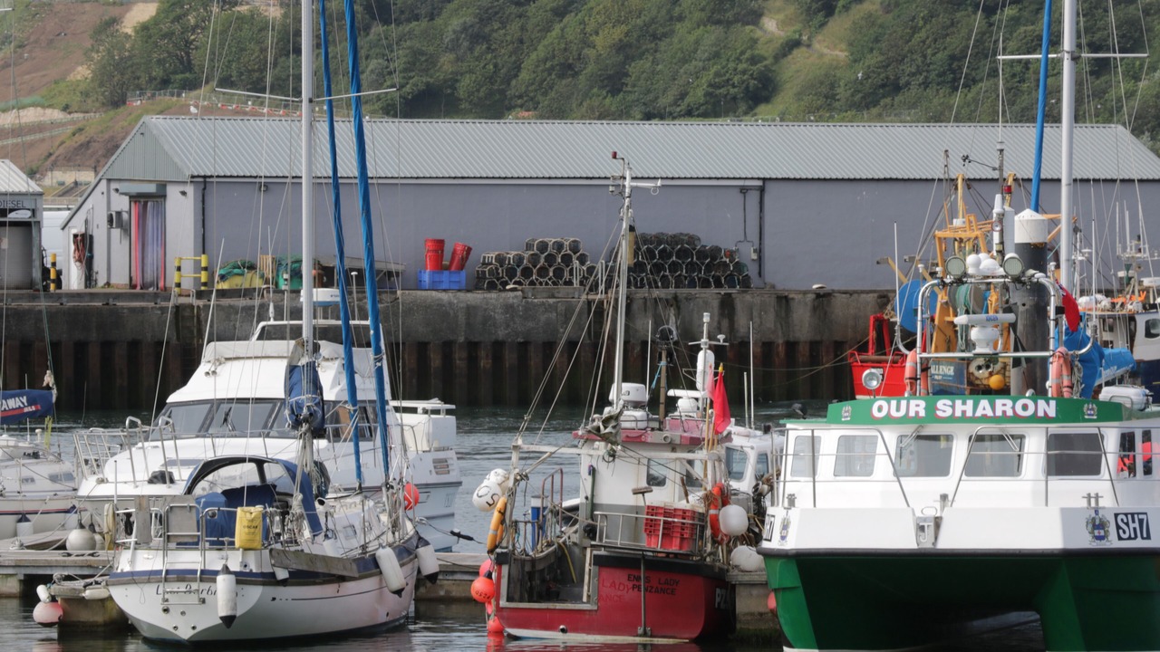 Photo of Others in Scarborough