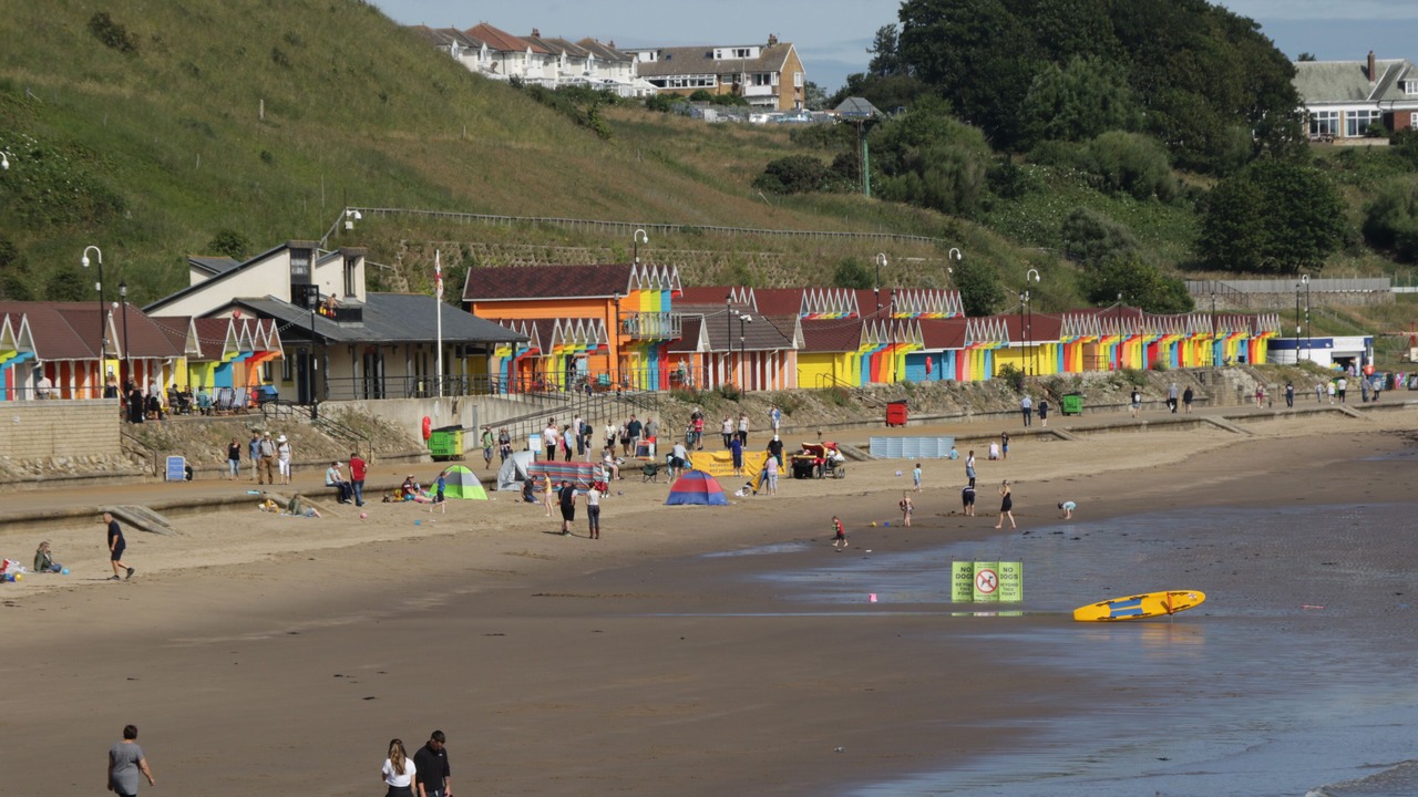 Photo of Others in Scarborough