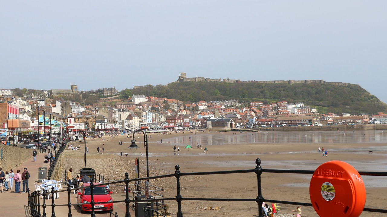 Photo of Others in Scarborough