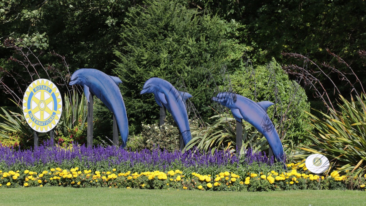 Photo of Others in Scarborough