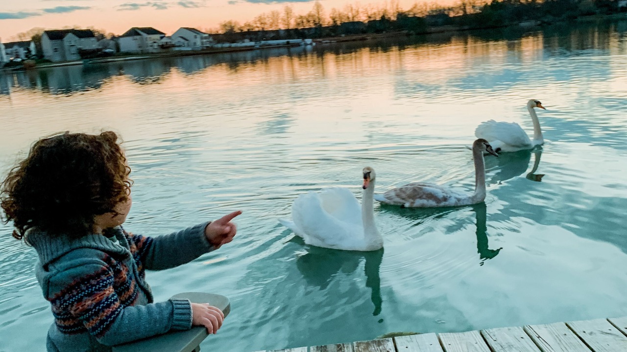 Photo of Others in Sicklerville