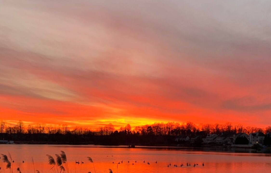 Photo of Others in Sicklerville