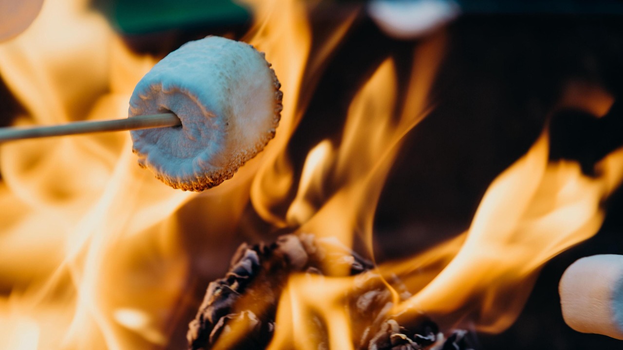 Photo of Outdoor in Ithaca