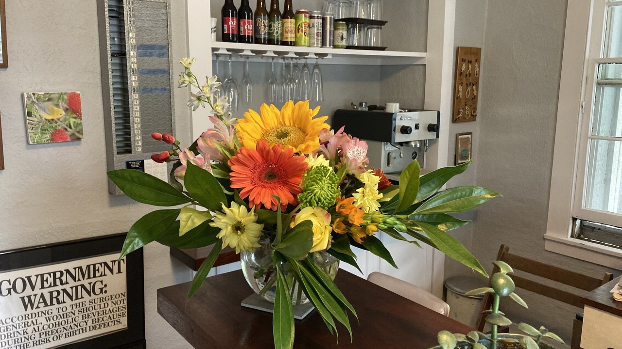 Photo of Others in Ithaca