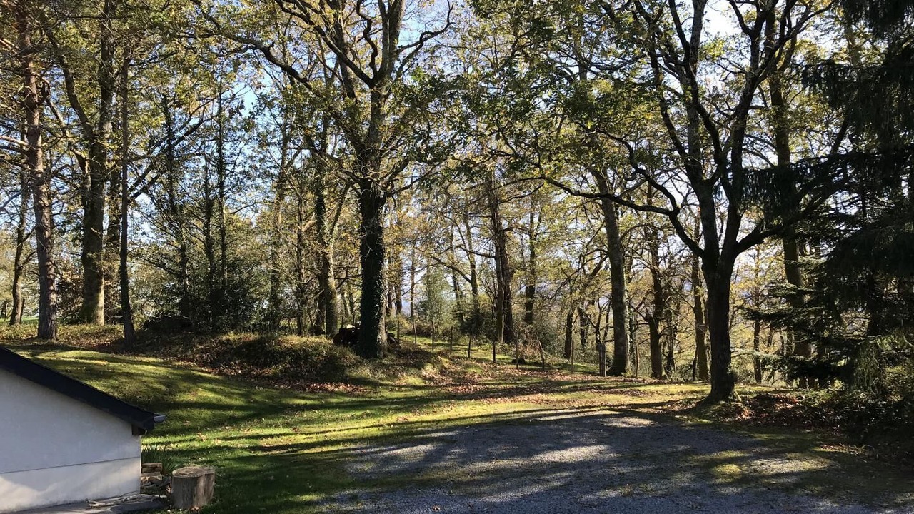 Photo of Others in Lanne-en-Baretous