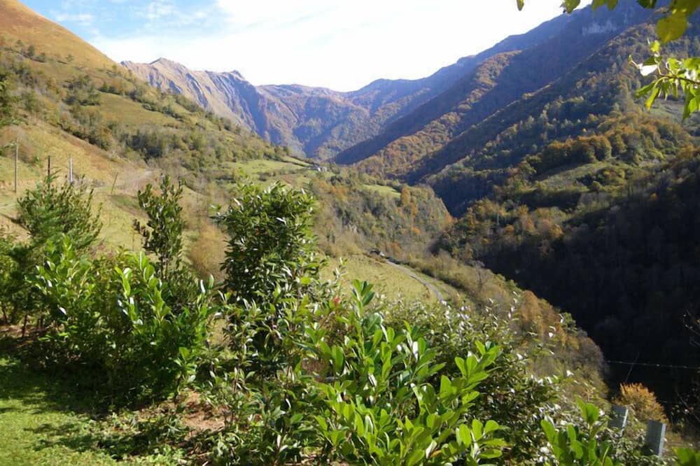 Photo of Others in Gey