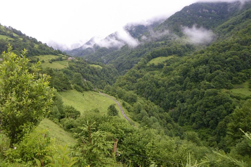 Photo of Others in Gey