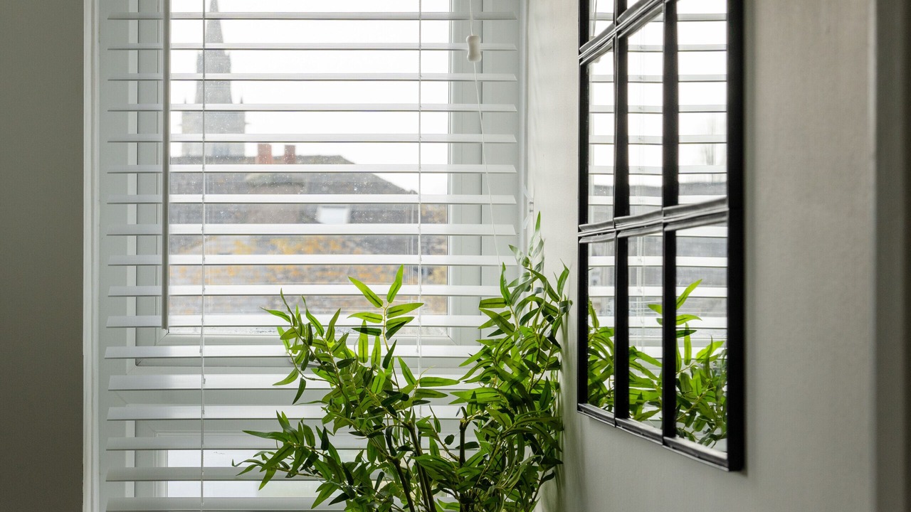 Photo of Others in Babbacombe