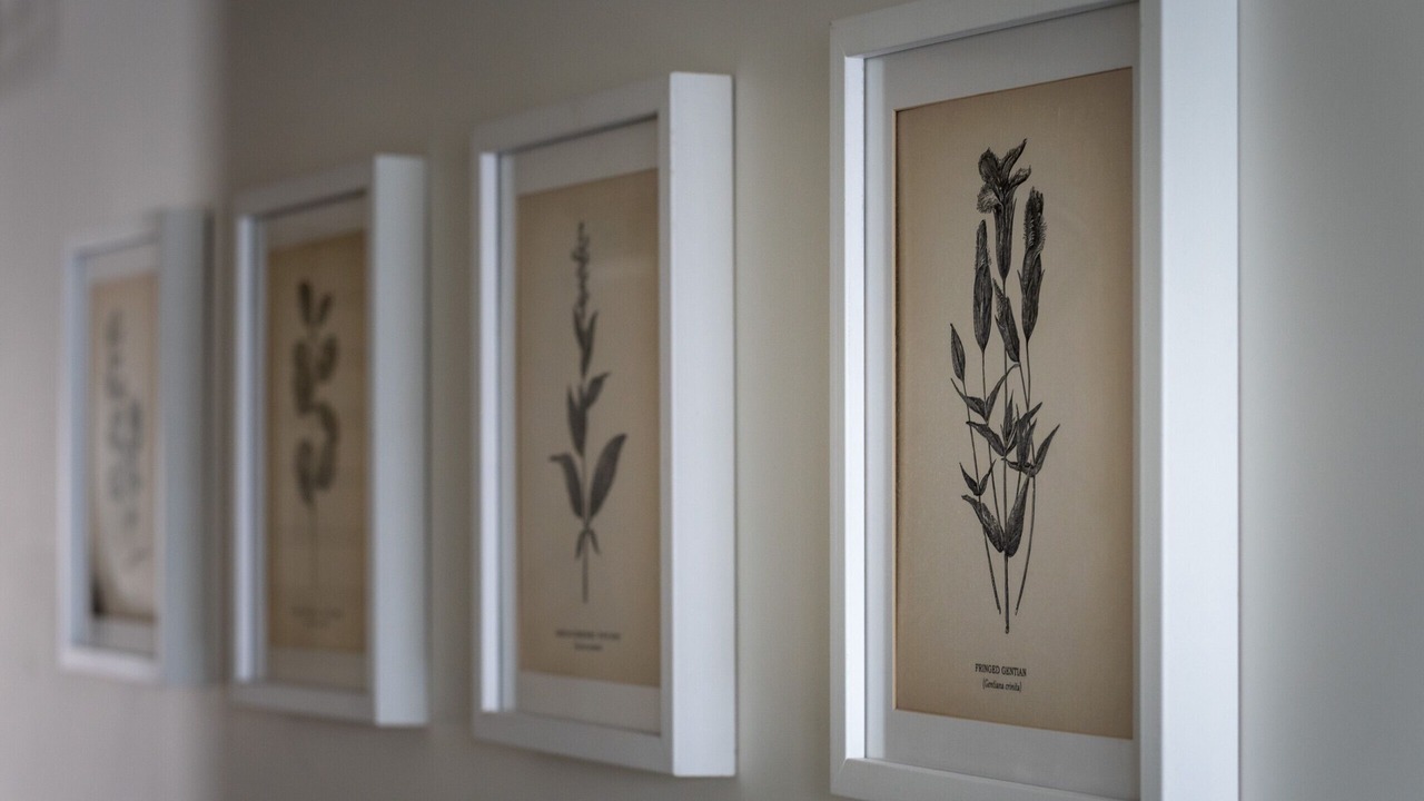 Photo of Others in Babbacombe