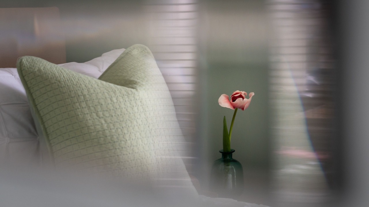 Photo of Others in Babbacombe