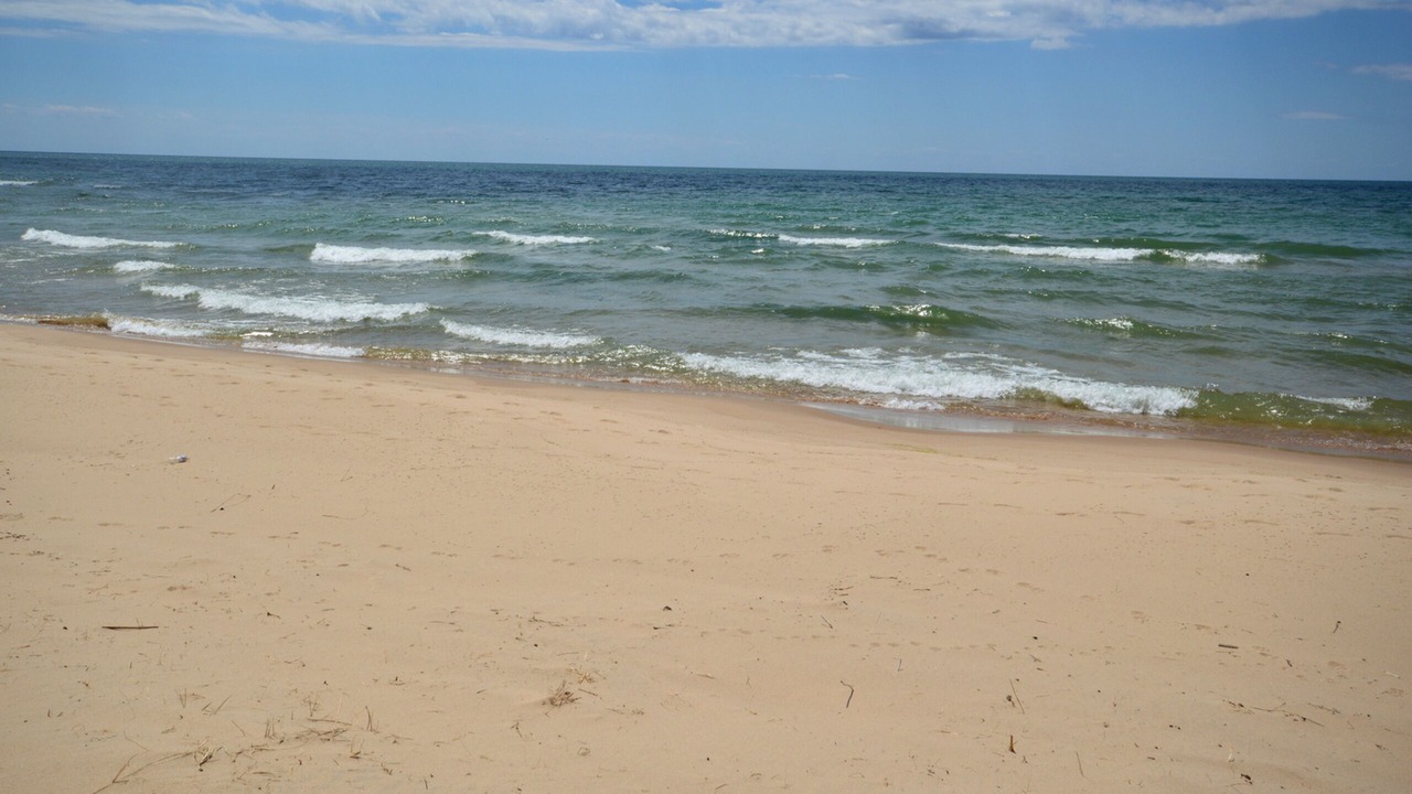 Photo of Others in Port Sheldon