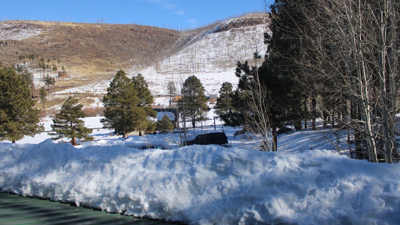 Photo of Bedroom in Greer