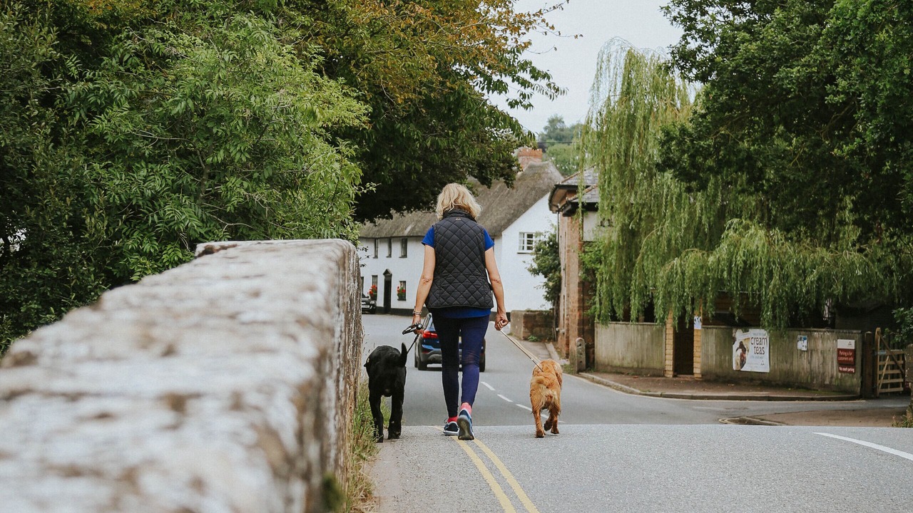 Photo of Outdoor in Otterton