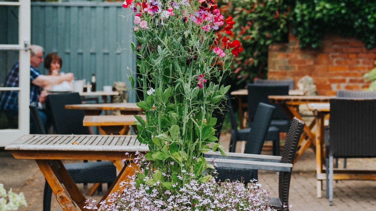 Photo of Outdoor in Otterton