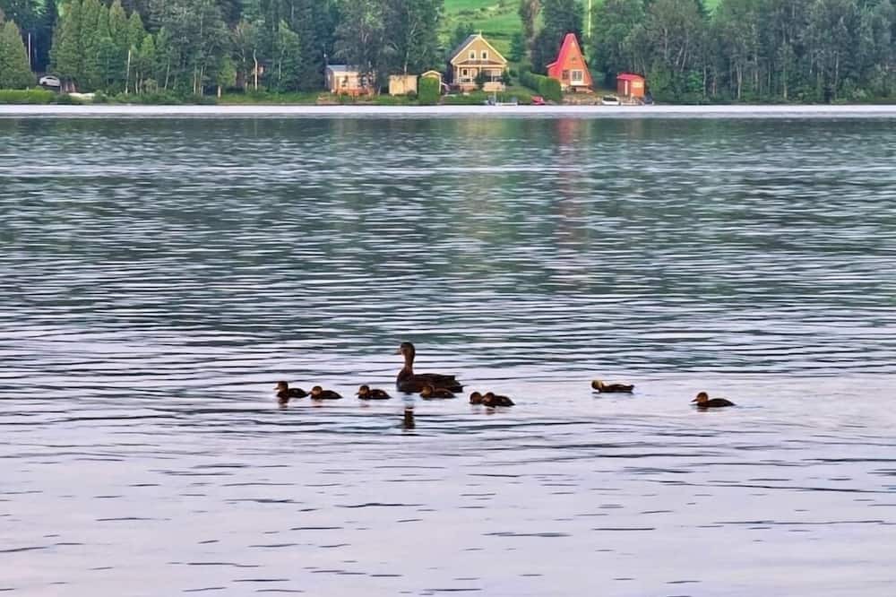 Photo of Others in Riviere-du-Loup Regional County Municipality