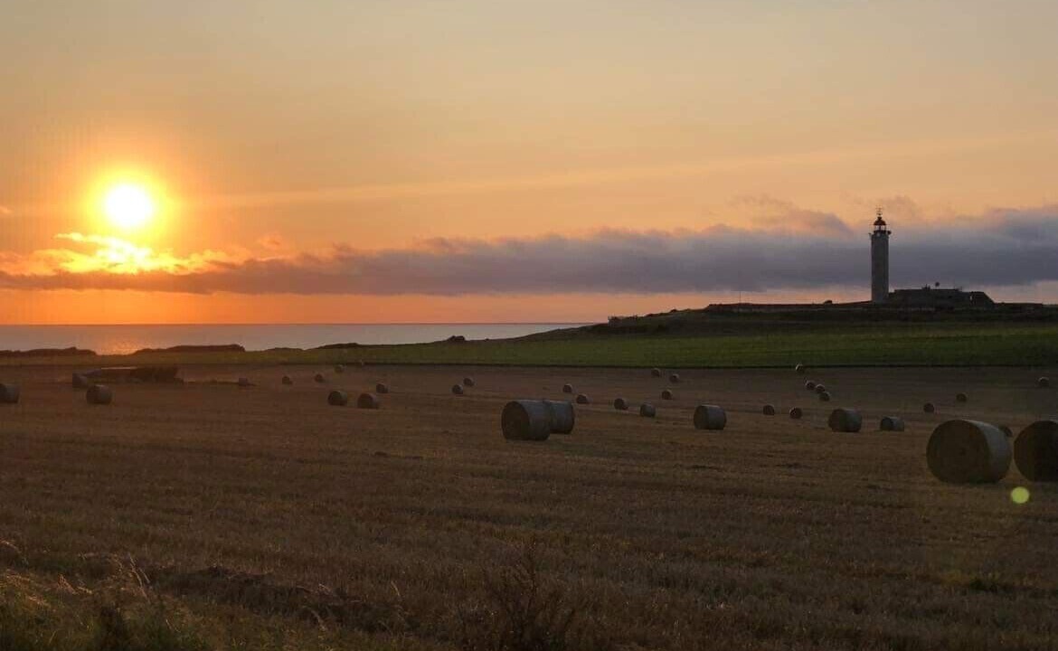 Photo of Others in Audinghen