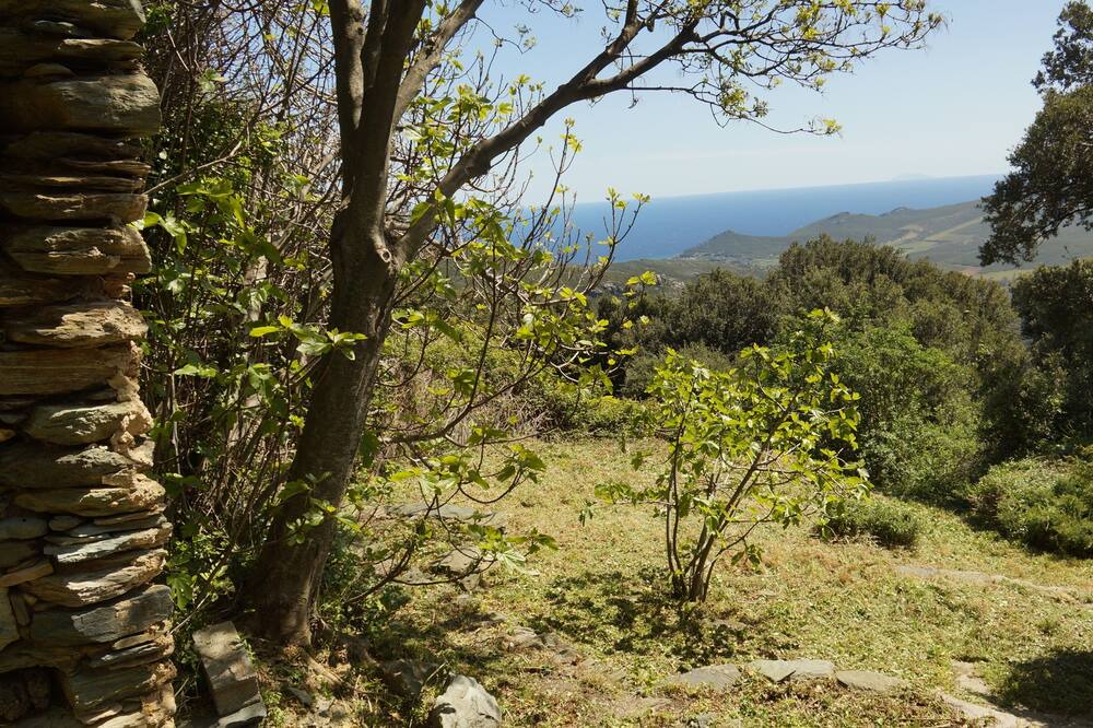 Photo of Outdoor in Pietracorbara