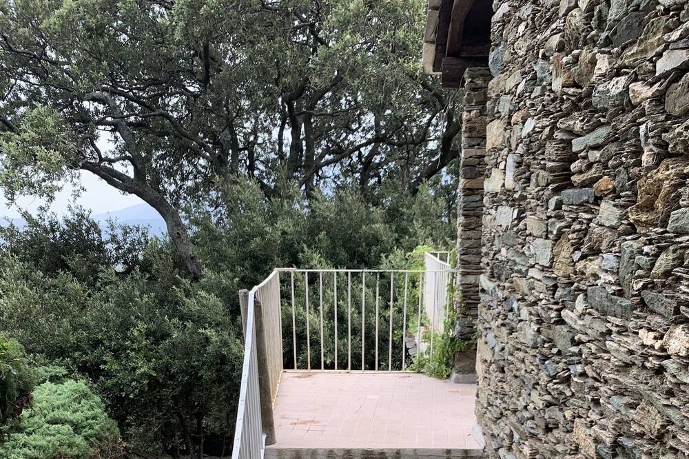 Photo of Outdoor in Pietracorbara