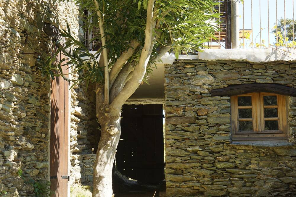 Photo of Outdoor in Pietracorbara