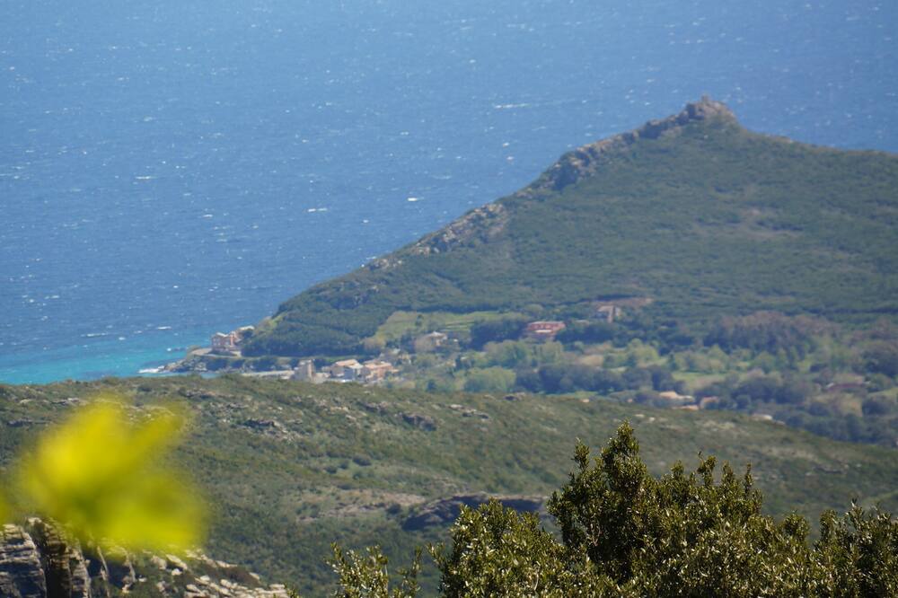 Photo of Others in Pietracorbara